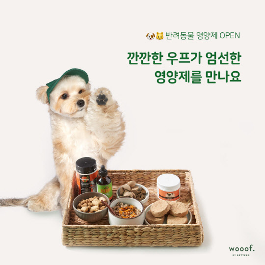 우프 이미지