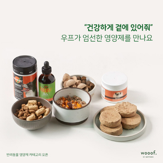 우프 이미지
