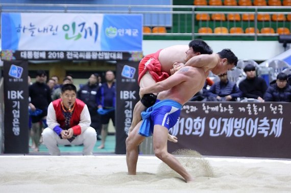 인제스포츠 이미지