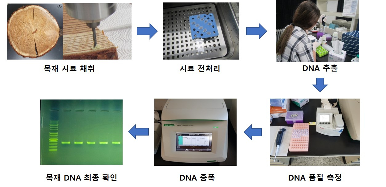 목재야 이미지