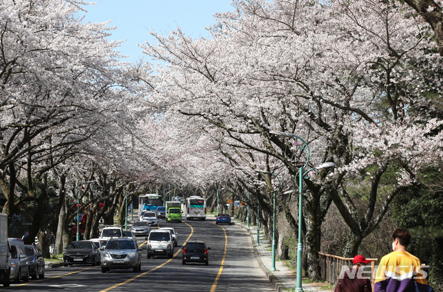 제주앵글 이미지