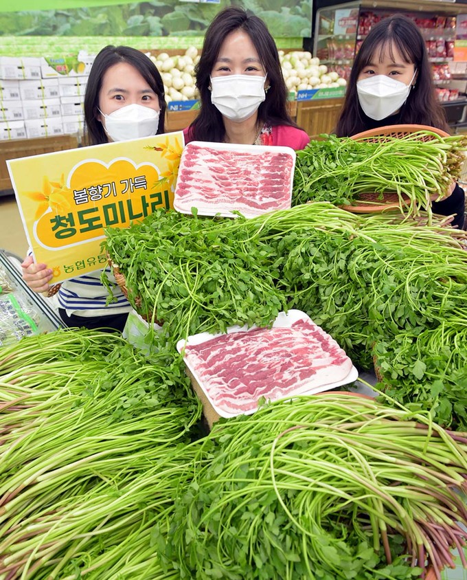 청도농업협동조합 이미지