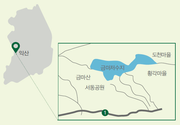 미래생태 이미지