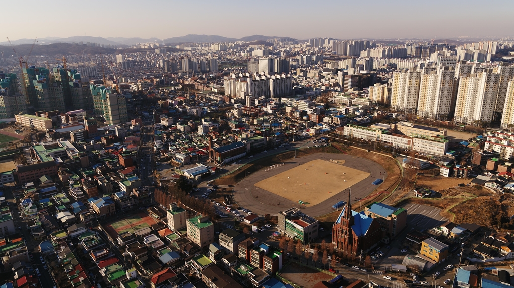오룡 이미지