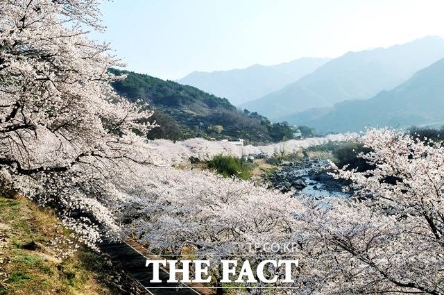 하동 이미지