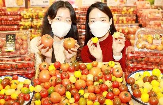 토마토마트 이미지
