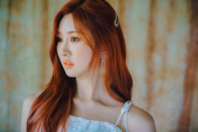 루나솔라 이미지