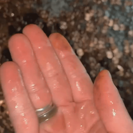 /사진=올리비아 옥슬리 페이스북 영상 캡처