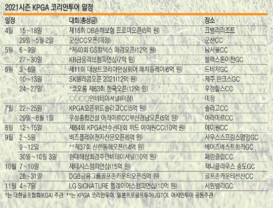 프로미렌트카 이미지