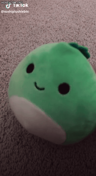 스퀴시 멜로 인형을 등장시킨 인형극 밈(meme) 틱톡 영상. [틱톡@sushiplushiebts]