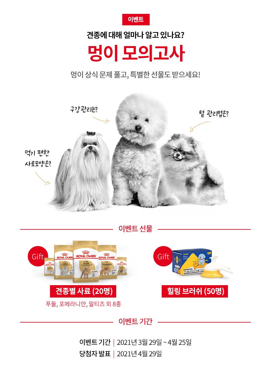 로얄체형관리 이미지