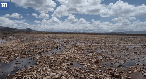 볼리비아 우루우루 호수 수년 간 방치된 쓰레기와 인근 광산에서 흘러나온 폐수로 오염돼 과거의 절경을 잃고 말았다.