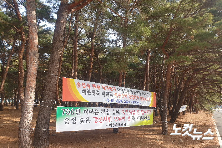 해송개발 이미지
