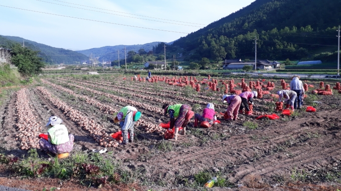 동부인력 이미지