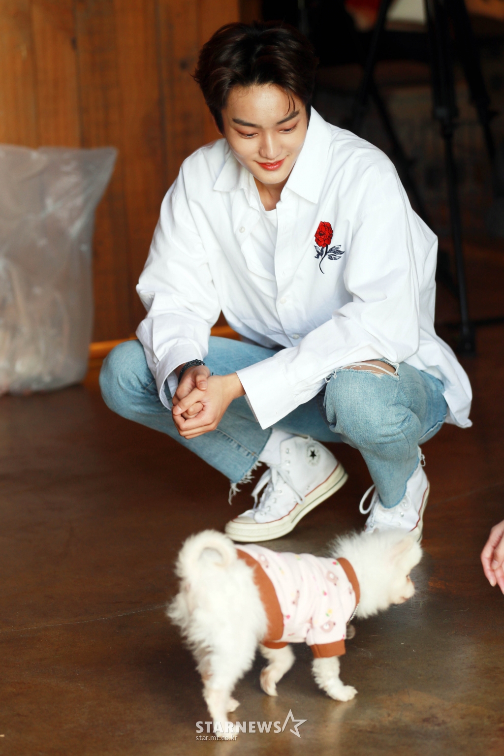태영 이미지