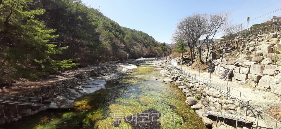백운 이미지