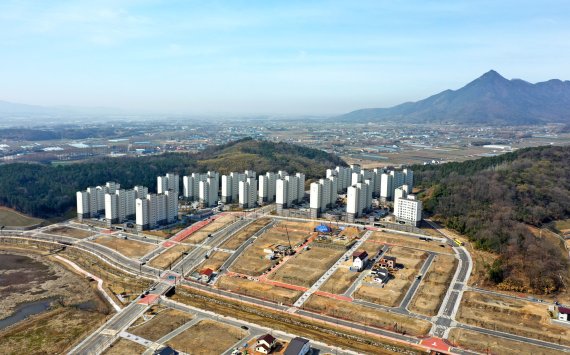 담빛 이미지