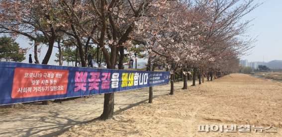 벚꽃길 이미지