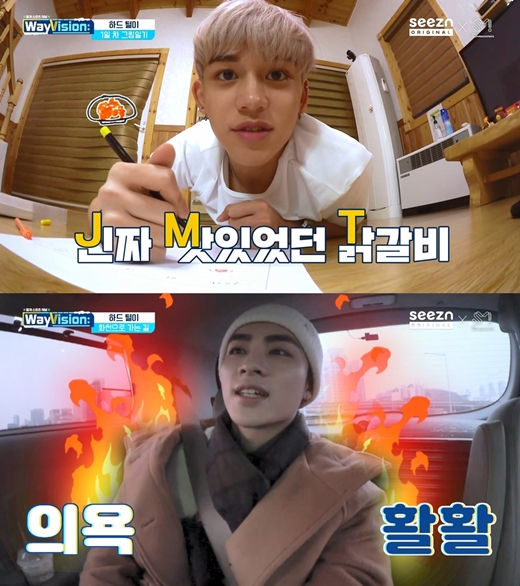 브이비젼주 이미지