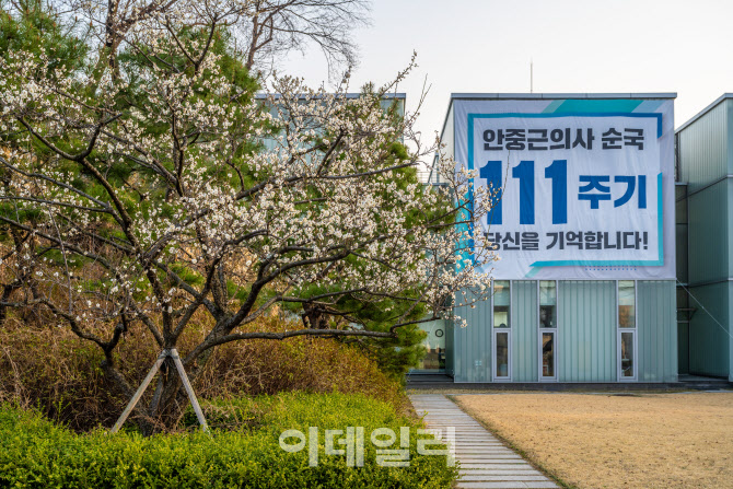 매화나무두그루 이미지