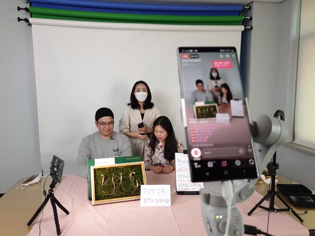 톡톡커머스 이미지