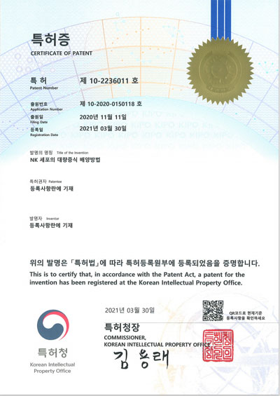 NK기술 이미지