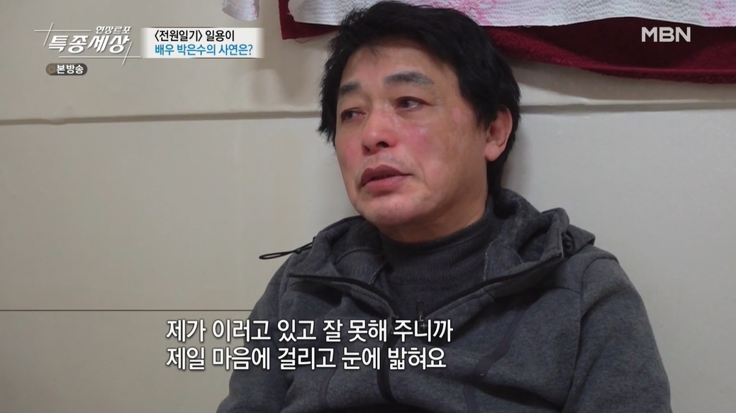 ì¼ìš©ì´ ë°•ì€ìˆ˜ 70ì‚´ì— ë¼ì§€ ë†ìž¥è¡Œ ë¶„í•˜ê³  ì–µìš¸í•˜ë‹¤ íŠ¹ì¢…ì„¸ìƒ ì¢…í•© ë‹¤ìŒì—°ì˜ˆ