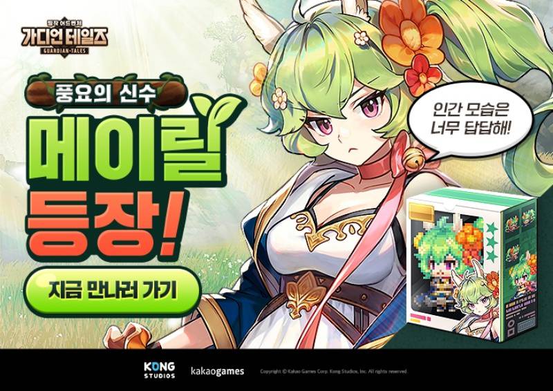 가디언 이미지