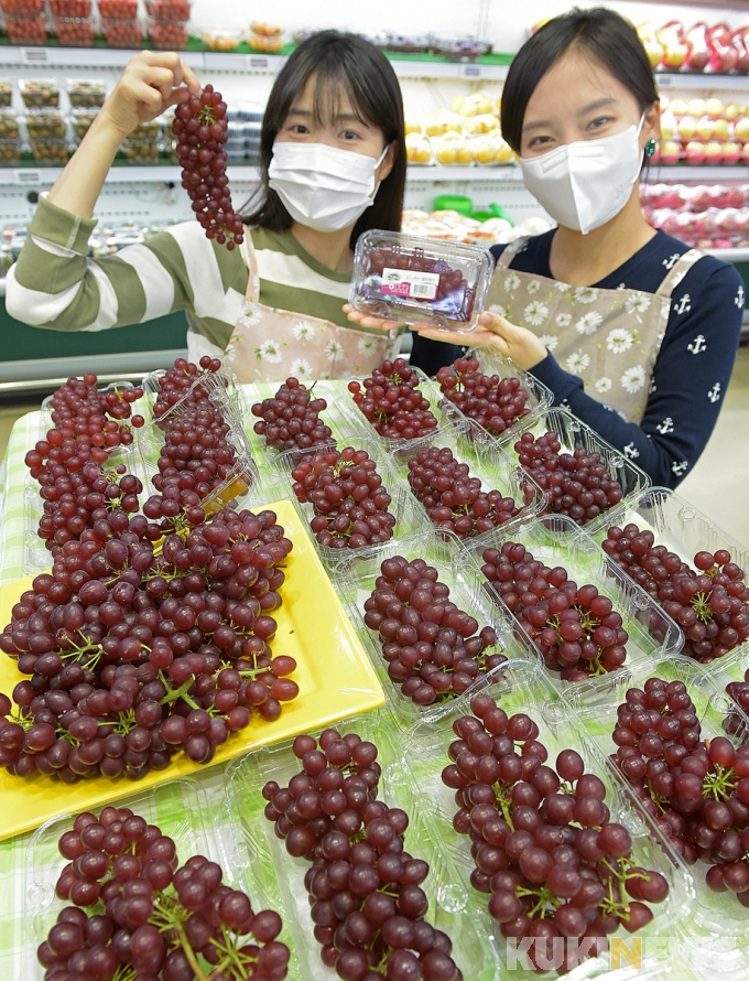 일품유통 이미지
