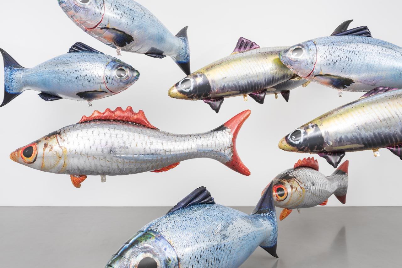 부산Fish 이미지