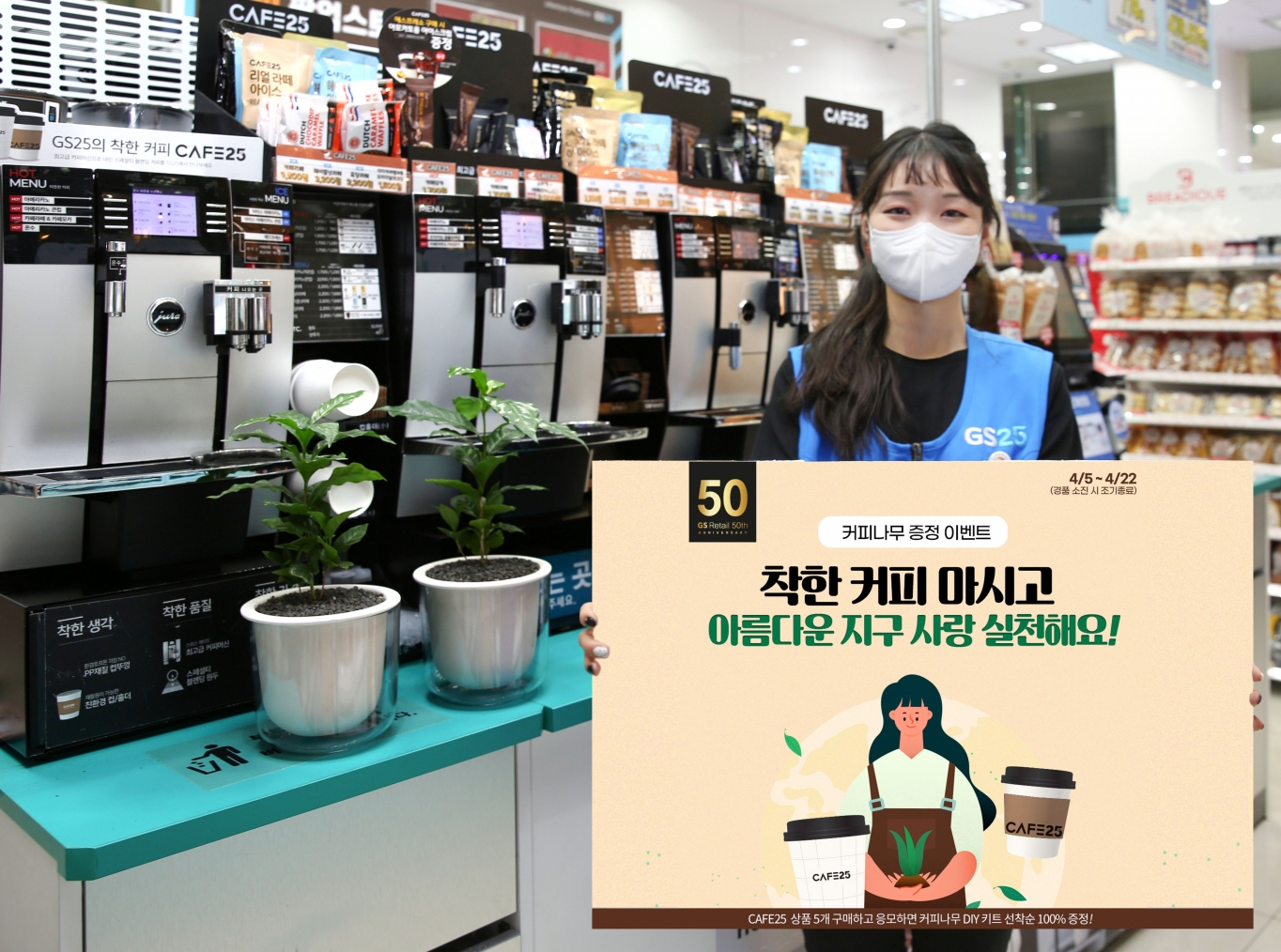카페트리커피나무 이미지