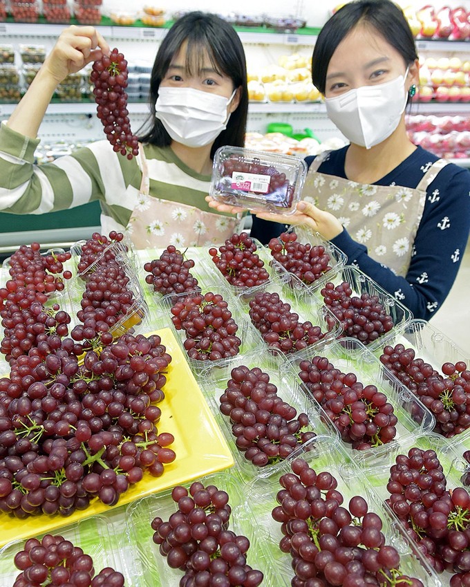일조유통 이미지