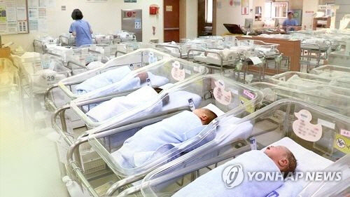 지에스케이 이미지
