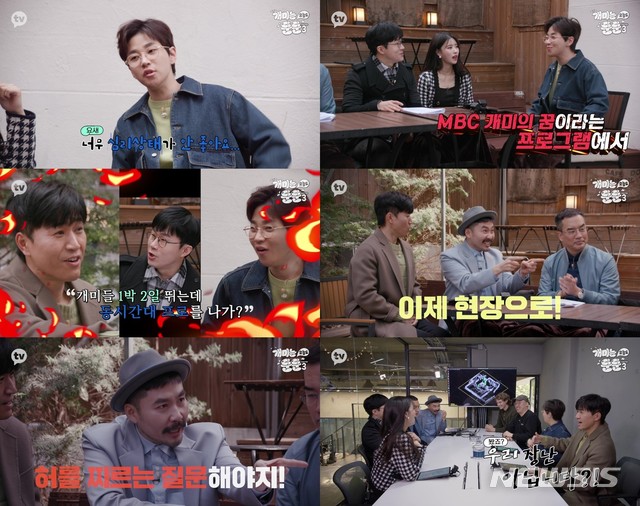개미컴퍼니 이미지