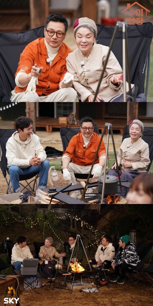 수미 이미지