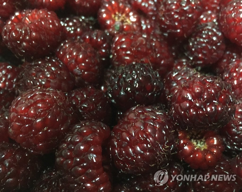 서원유통탑마트김해 이미지