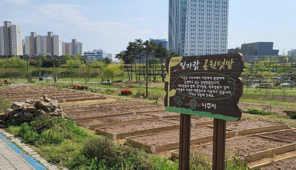 빛가람 이미지
