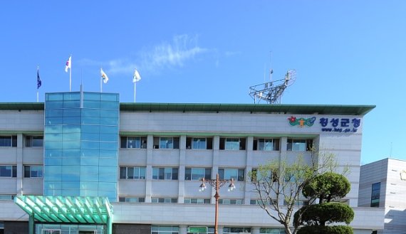 횡성명품배추 이미지