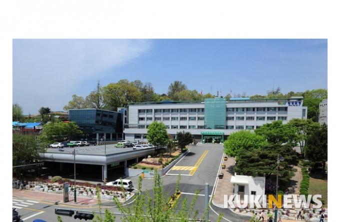 횡성명품배추 이미지