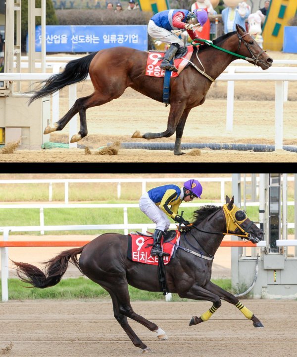 우승축산 이미지