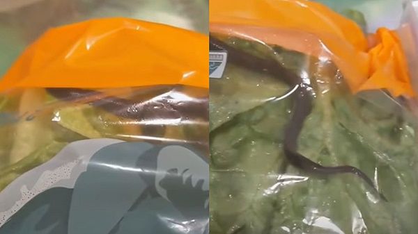 부부마트 이미지