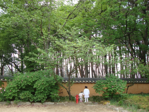 자유인 이미지