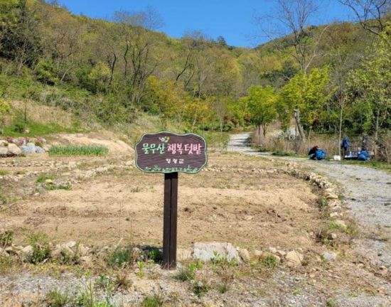 영광유치원 이미지