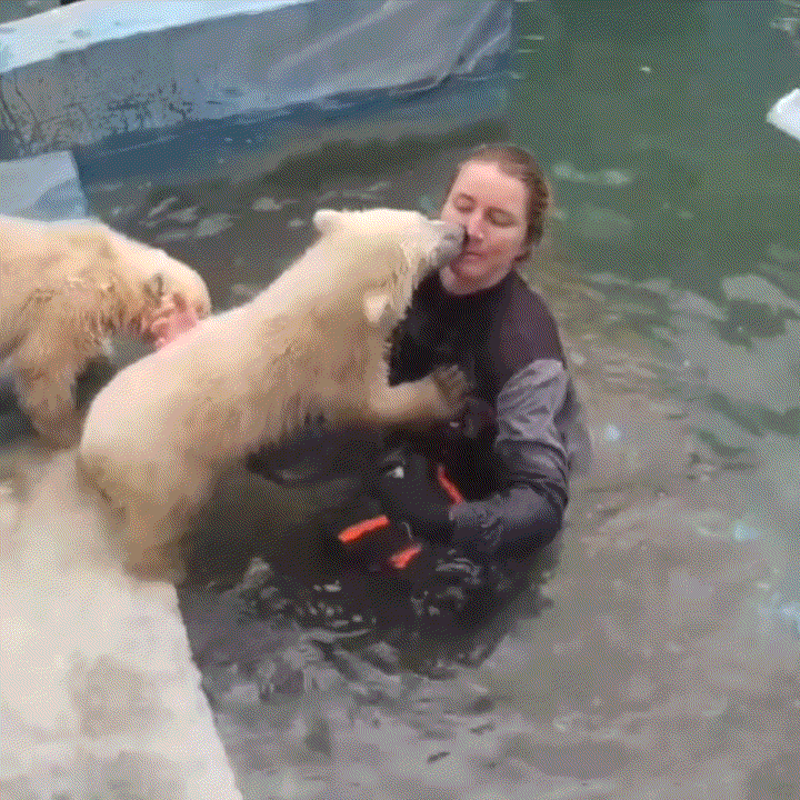 / 사진=겔렌지크 사파리공원