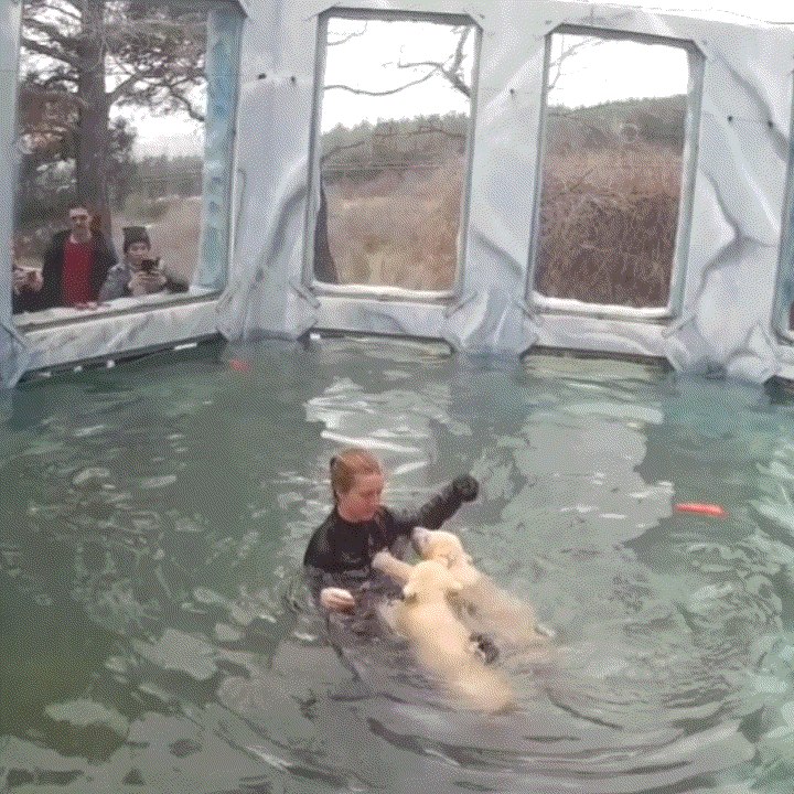 / 사진=겔렌지크 사파리공원