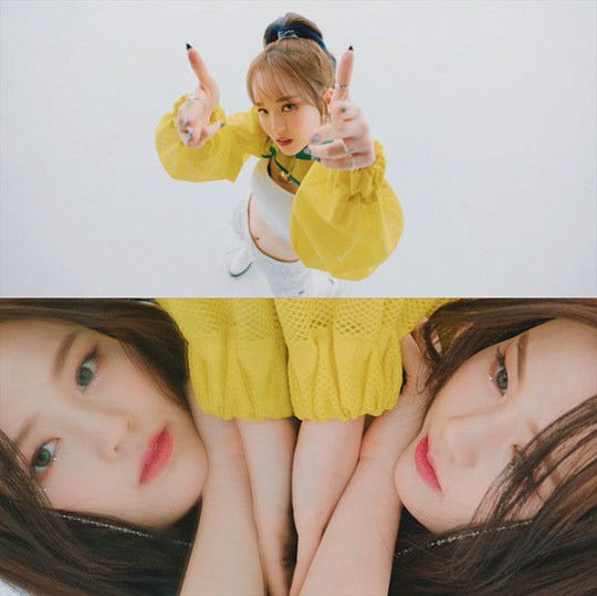 다나서비스 이미지