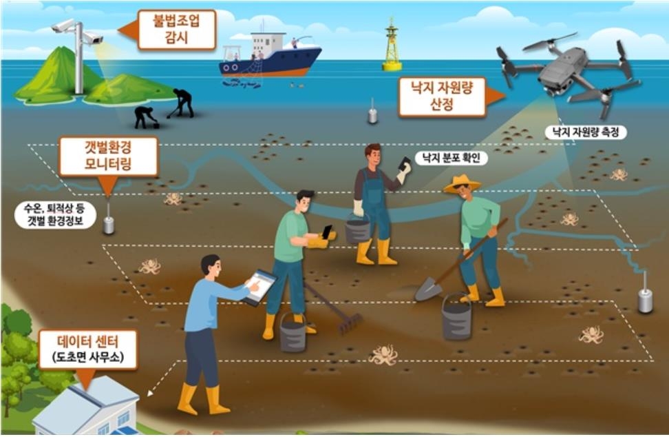 신안갯벌낙지 이미지