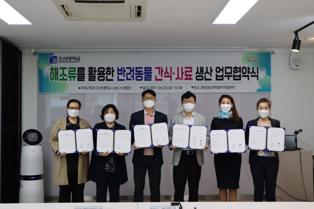 디에이치럭스 이미지