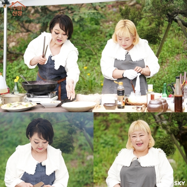 수미 이미지