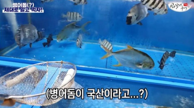 계명수산 이미지
